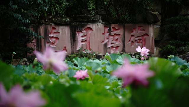 看千年古城如何玩转新潮流！