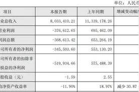 风口财报｜卖的越多亏的越多，一年净亏34.55亿，天合光能靠储能破内卷？图片