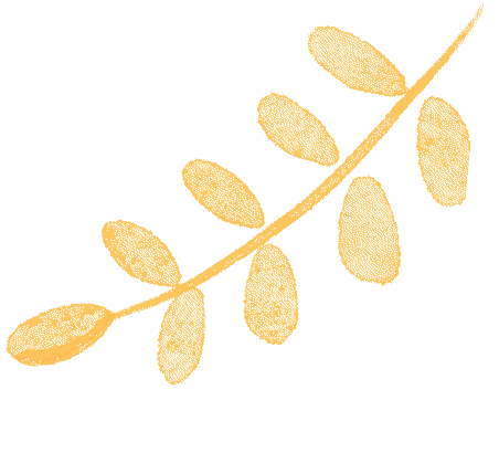 层林尽染赏秋时！宝山11月文旅活动清单，超多活动等你来打卡