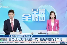 存量房贷利率调整新机制出炉 重定价周期可调整一次 最短调整为3个月视频封面