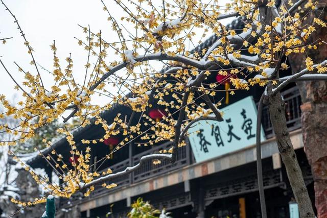 扬州寒假亲子宝藏地图：从奇幻乐园到千年运河，一次收集N种快乐！