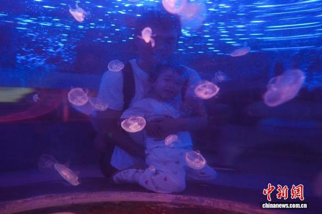 云南昆明：畅游海洋世界享快乐暑假