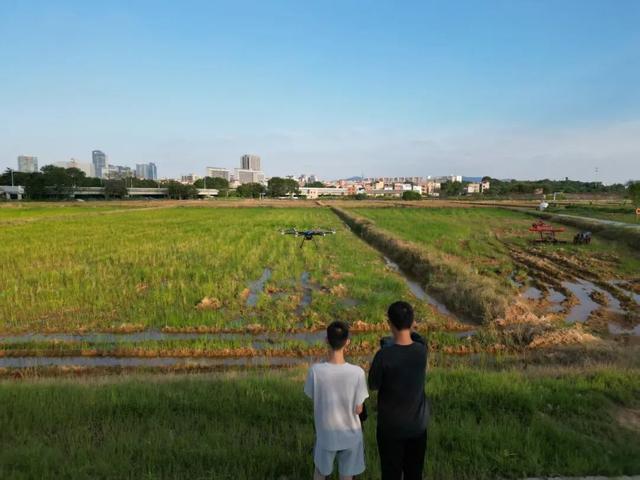 周末出发！打卡东莞市区这些「治愈系」风景
