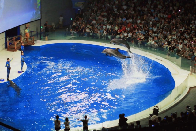 超值权益又上新啦！16家热门打卡点！