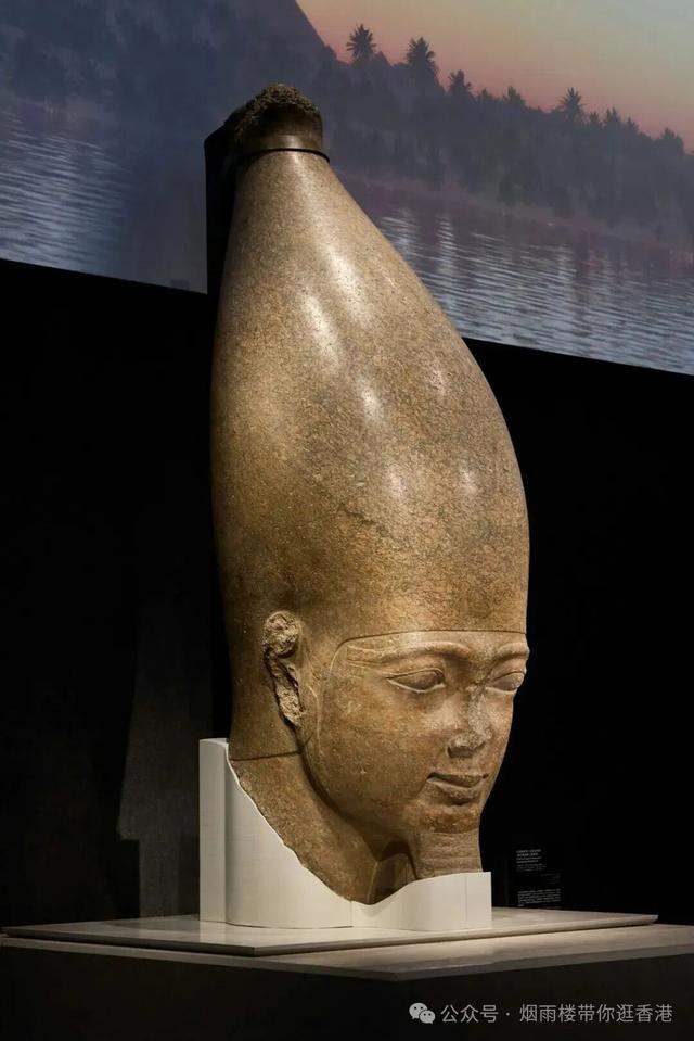 香港年度最重磅的文化盛事开放参观！