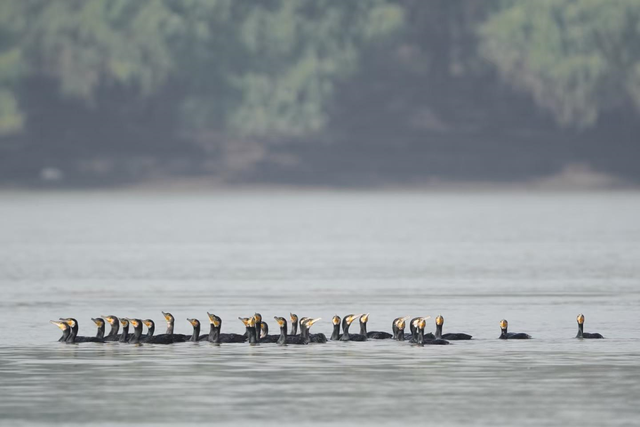 免费食堂！现点现做！