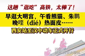 西安站首趟去往汉中的动车组正式开行图片