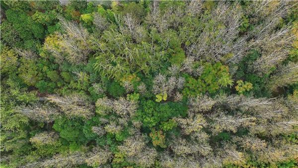 汉阴龙岗公园：初冬斑斓景 如画醉游人