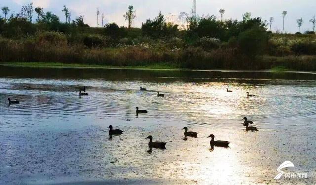 日照东港后村镇初冬限定！藏着最温柔的岁月痕迹