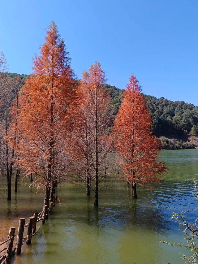 去寻甸玩一天！本地人力荐了这些宝藏打卡地→
