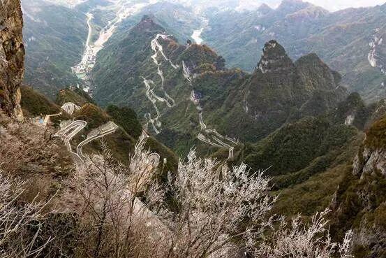 一眼心动！雾凇，山巅的“冰雪派对”