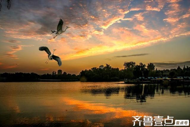 壹点号·秀山东|美丽泉城处处如画，多情山水时时似诗