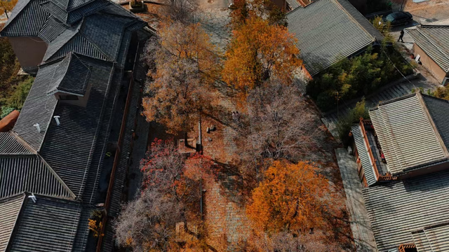 最高投资金额150亿元！11月新开工文旅项目20个