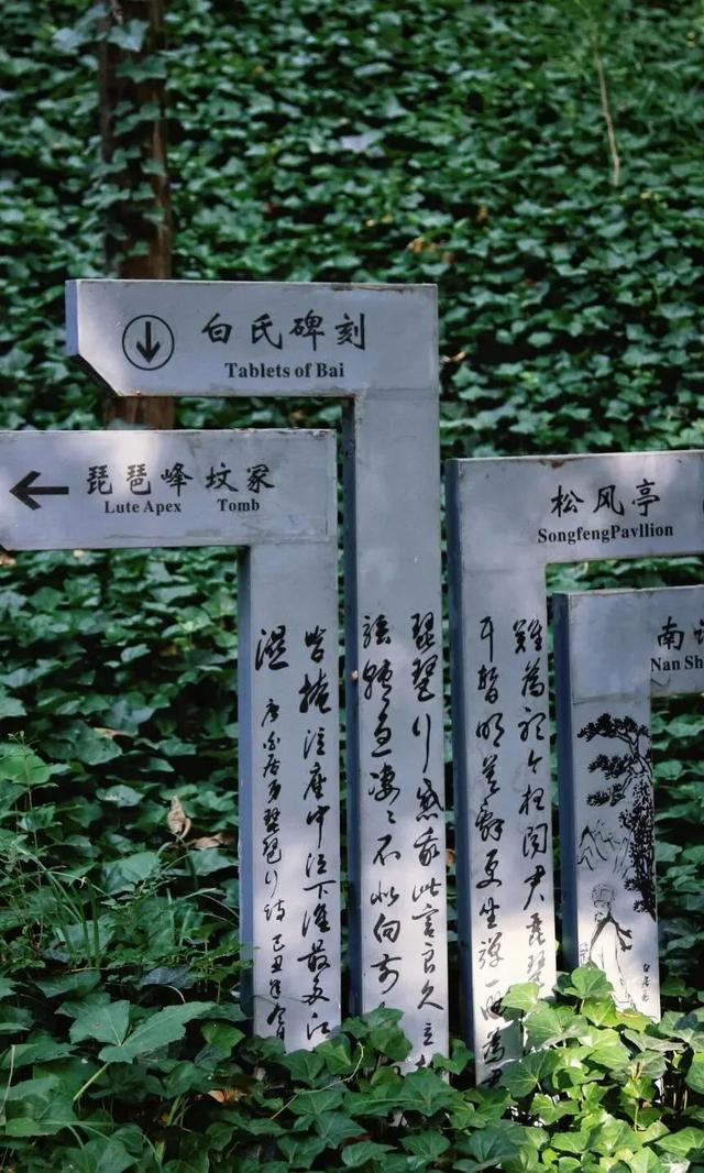 天呐，洛阳的这份「反差感」，绝了！