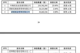 定增机构持股仍在限售期，却不在前十大股东之列 国新健康：系机构用多个子账户认购图片