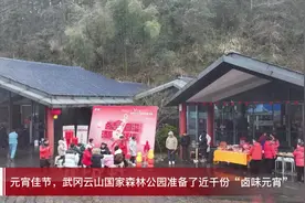 武冈云山国家森林公园：品卤味元宵 过特色佳节图片