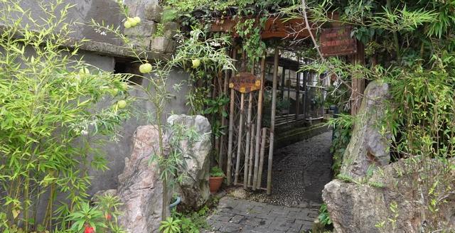 盘州大海村：靓丽小山村成避暑旅居新宠