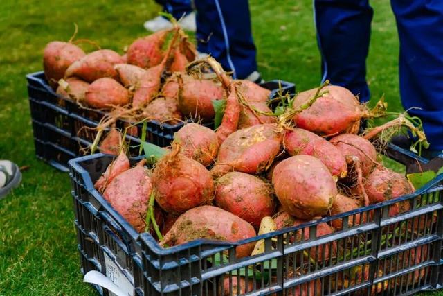 邀您免费畅玩！来木兰不夜城探索侠气与温柔