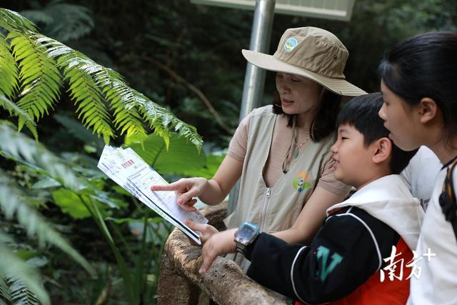 广东蕉岭长潭省级自然保护区成功举办“丛林奇遇记”