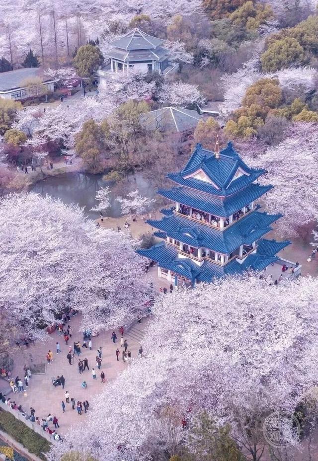 国际邮轮要来了！