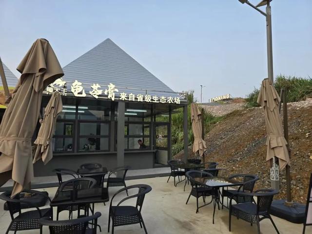 广东新晋网红地！浪漫花海、直升机飞行、地道美食…三水这个地方藏不住了