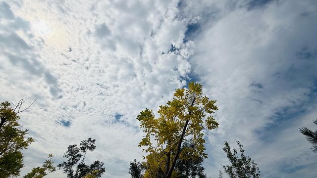 新视界｜白云如絮映秋色