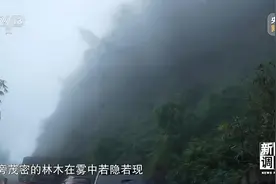 想你的风吹到了哀牢山，这是一座怎样的山？图片
