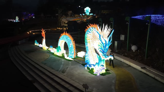 【千秋蒙顶 中国名山】暗香浮动，灯火阑珊｜精灵谷梅花园邀你共赴新春光影宴