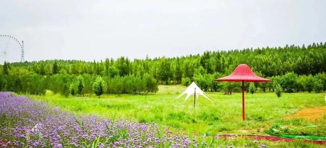 已正式开放！康巴什再添1处“世外桃源”→