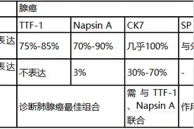 一文看懂肺癌常用免疫组化指标及其意义图片