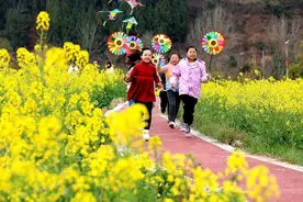 镜头丨仁寿“菜花坞”千亩油菜花灿烂绽放 满园春色等你来赏图片