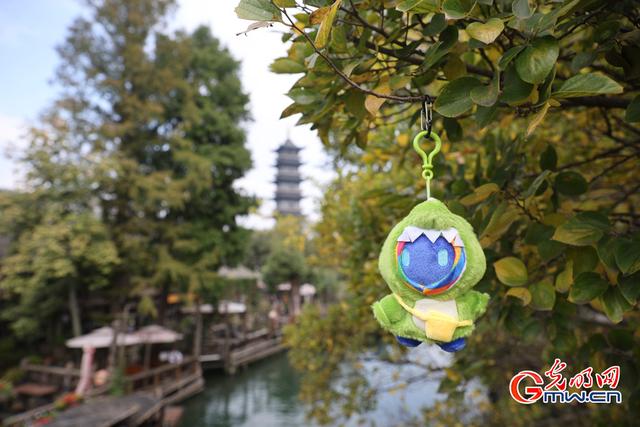 小互的乌镇漫步：一场古镇与数字的对话