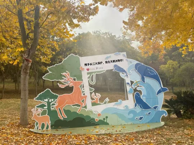 荆州赏秋地图｜不止中心城区！荆州县域秋景图鉴出炉，N个绝美点位等你来打卡！