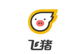 情侣因生病申请退上海迪士尼门票，被要求提交“情侣关系证明”？视频封面