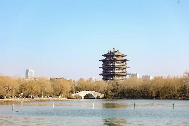 历下呈祥 马年纳福丨大明湖新春庙会解锁泉城新春民俗盛宴