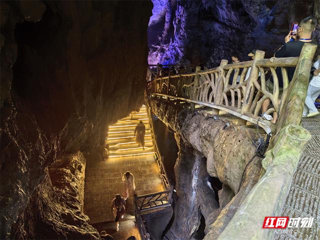 川渝百家旅行商齐聚张家界 共探西线旅游新魅力