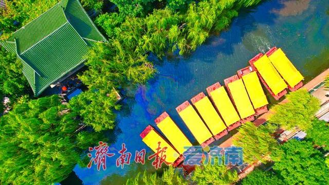 一年四季 泉在济南丨济南护城河水位显著上涨，迎来一年最佳观赏期