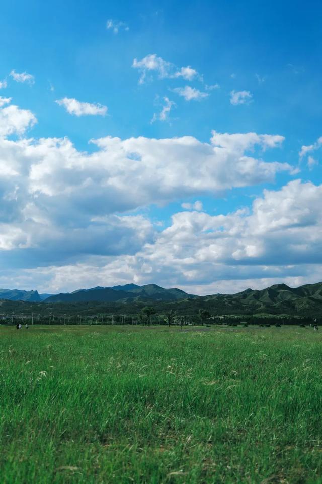这个夏天，23℃的呼和浩特，热度突破100度！