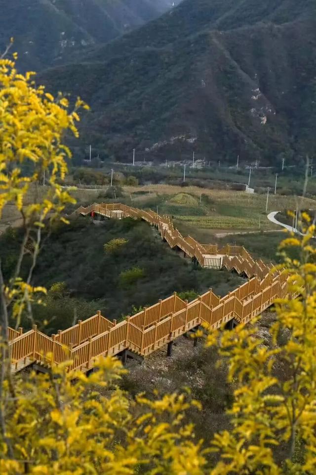 初秋→深秋，昌平这7条赏秋线路必冲！