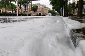 暴雨过后，路上出现白色泡沫？原来与TA有关→图片