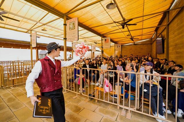 河南“文化家底”，何以成假日“暖心招牌”？ | 顶端观察