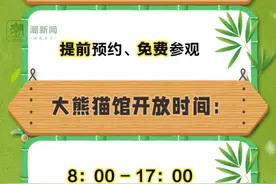 “春生”“香果”明日迎客 如何预约 这份攻略图满满都是干货图片