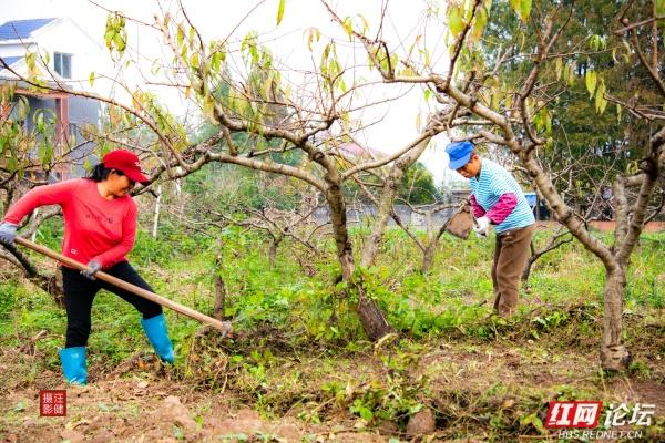 别追景点了！安乡这两个村，全是乡村最接地气的鲜活