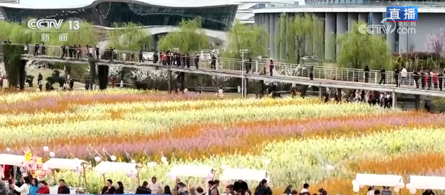 把春天的欢乐气息带进每一寸花田 赴一场限定春日浪漫
