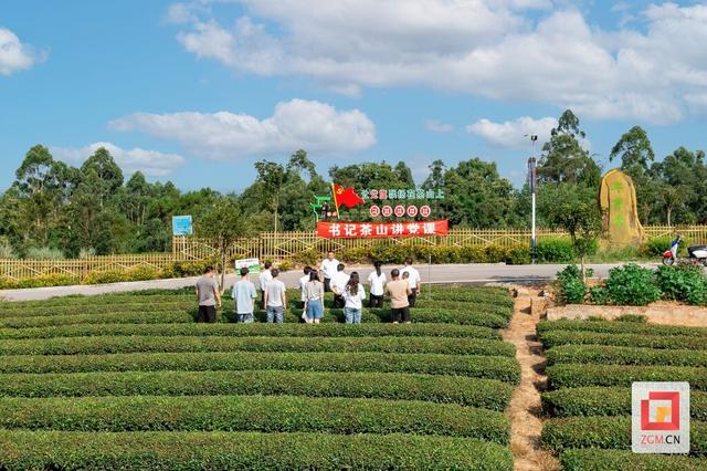 荣县来牟镇：以"茶文化+"破题 全力推进文旅深度融合 助力巴蜀特色旅游优选地建设