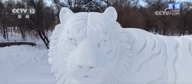 “冰雪+”多元场景点燃冬日消费热情 “冷资源”撬动文旅“热经济”