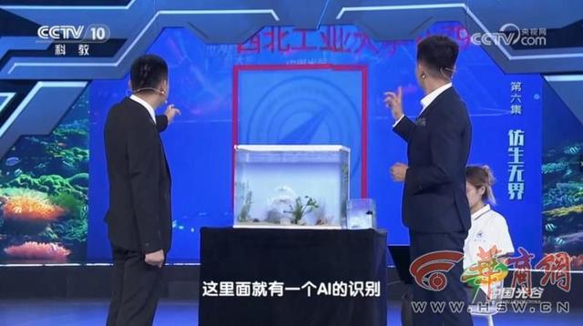 深海魅影！西工大研制出“水下幽灵”——仿生水母机器人