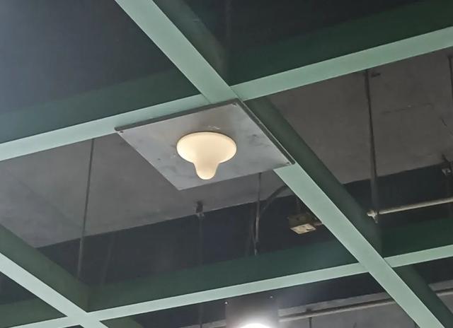 地铁WiFi满格，全靠这些“蘑菇” | 粤有料