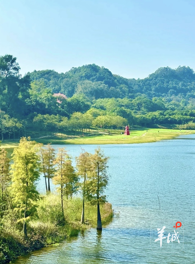 广州南沙百组家庭在黄山鲁森林公园参与生态科普活动，探索自然迎全运