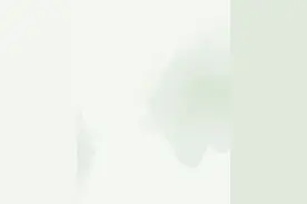 “猗品莲韵 传承经典” 第十一届上海荷花睡莲展将于7月6日开幕！“1+2”模式带给你赏荷新体验图片